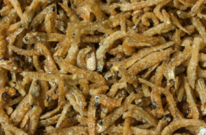 antica cucina siciliana