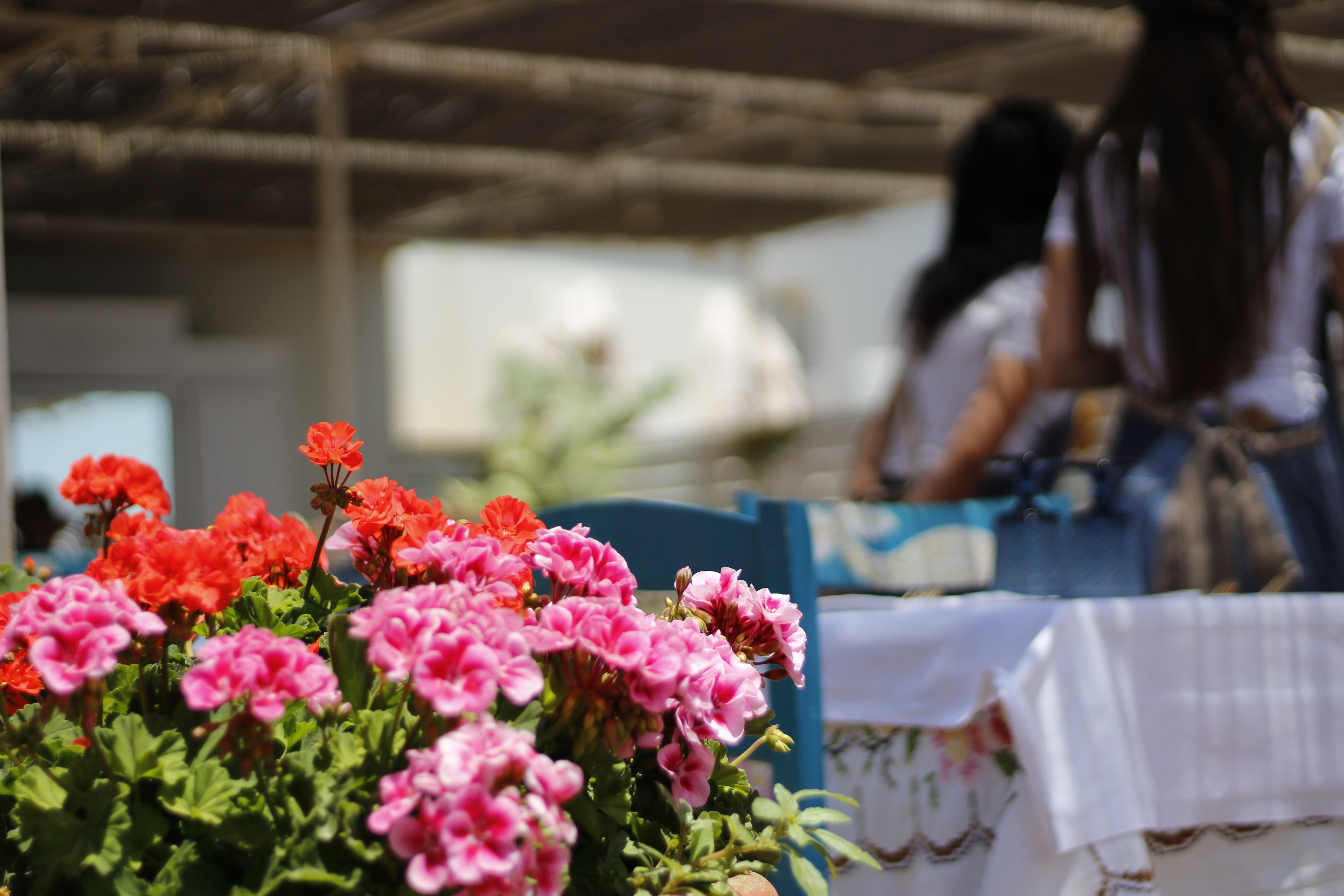 Terrazza estiva